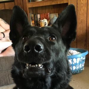 Meet your Posher, Cheri